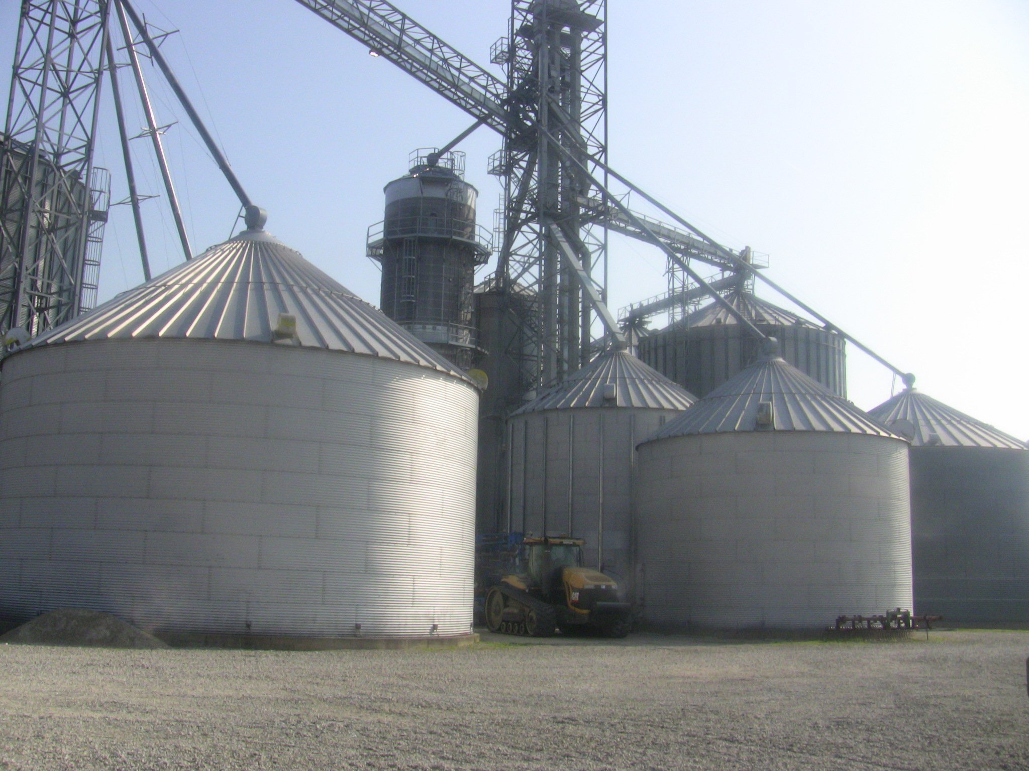 grain