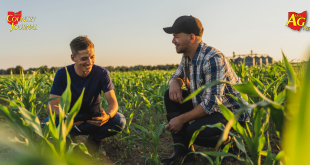 BASF and Nutrien join forces to expand farmer access to low-carbon biofuel markets