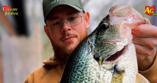 Miller Hybrid Crappie