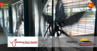 Feel the breeze- Ventilating the summer barn
