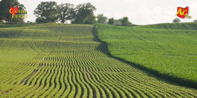 June acreage report fails to spark lasting rally