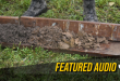Turning dirt into healthy soil